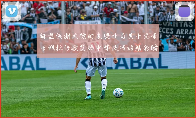 键盘侠谢泼德的表现让乌度卡无奈卡佩拉传授艾顿中锋技巧的精彩瞬间